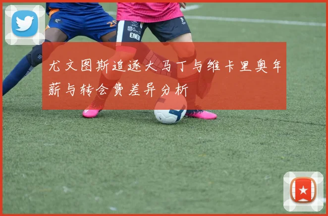 尤文图斯追逐大马丁与维卡里奥年薪与转会费差异分析